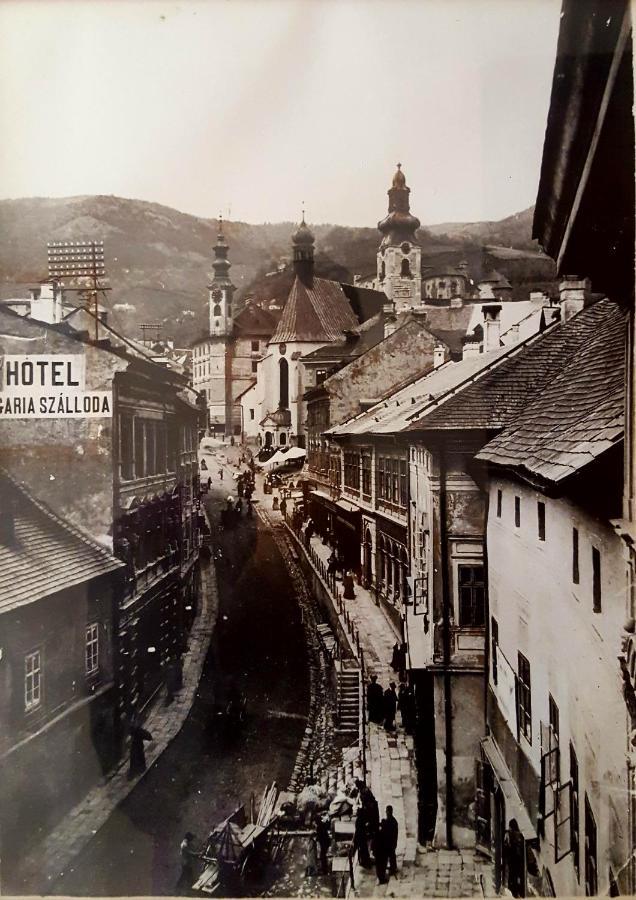 Penzion Rozalia Banská Štiavnica Buitenkant foto