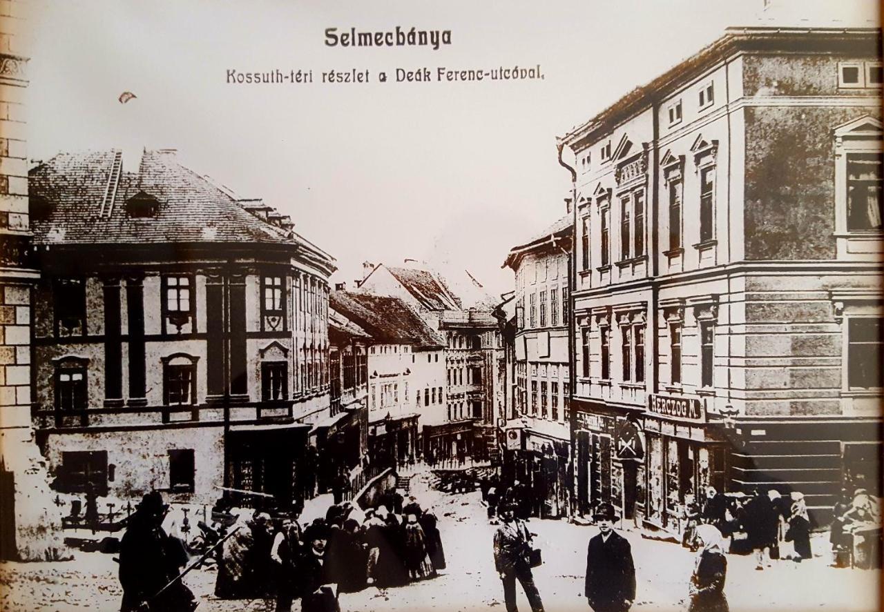 Penzion Rozalia Banská Štiavnica Buitenkant foto