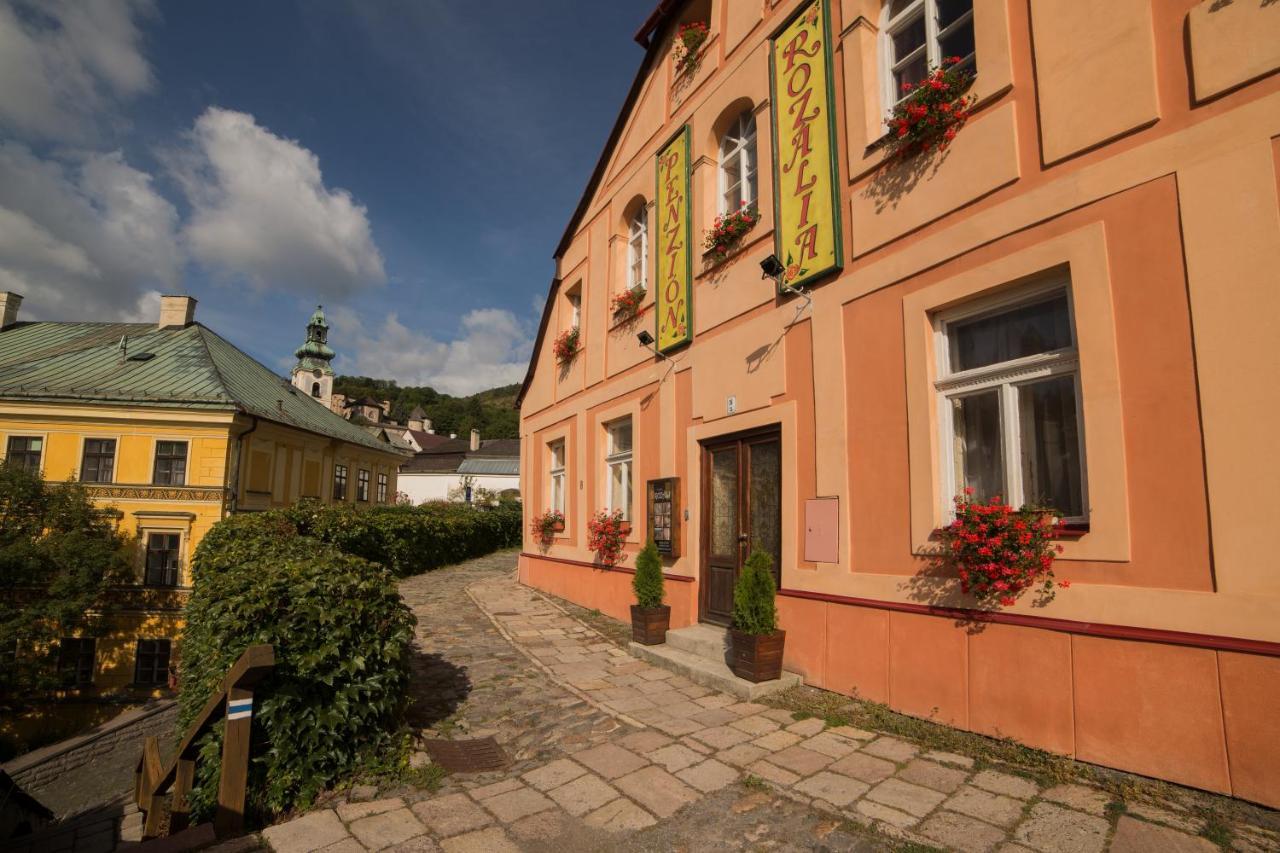 Penzion Rozalia Banská Štiavnica Buitenkant foto